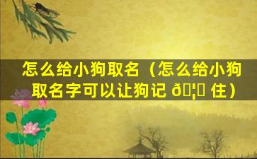 怎么给小狗取名（怎么给小狗取名字可以让狗记 🦅 住）